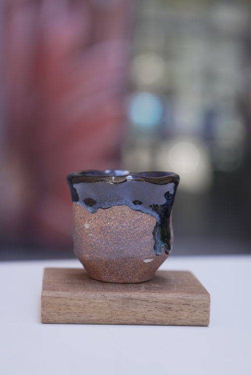 Tento Sydney - Authentic Japanese Dining Experience